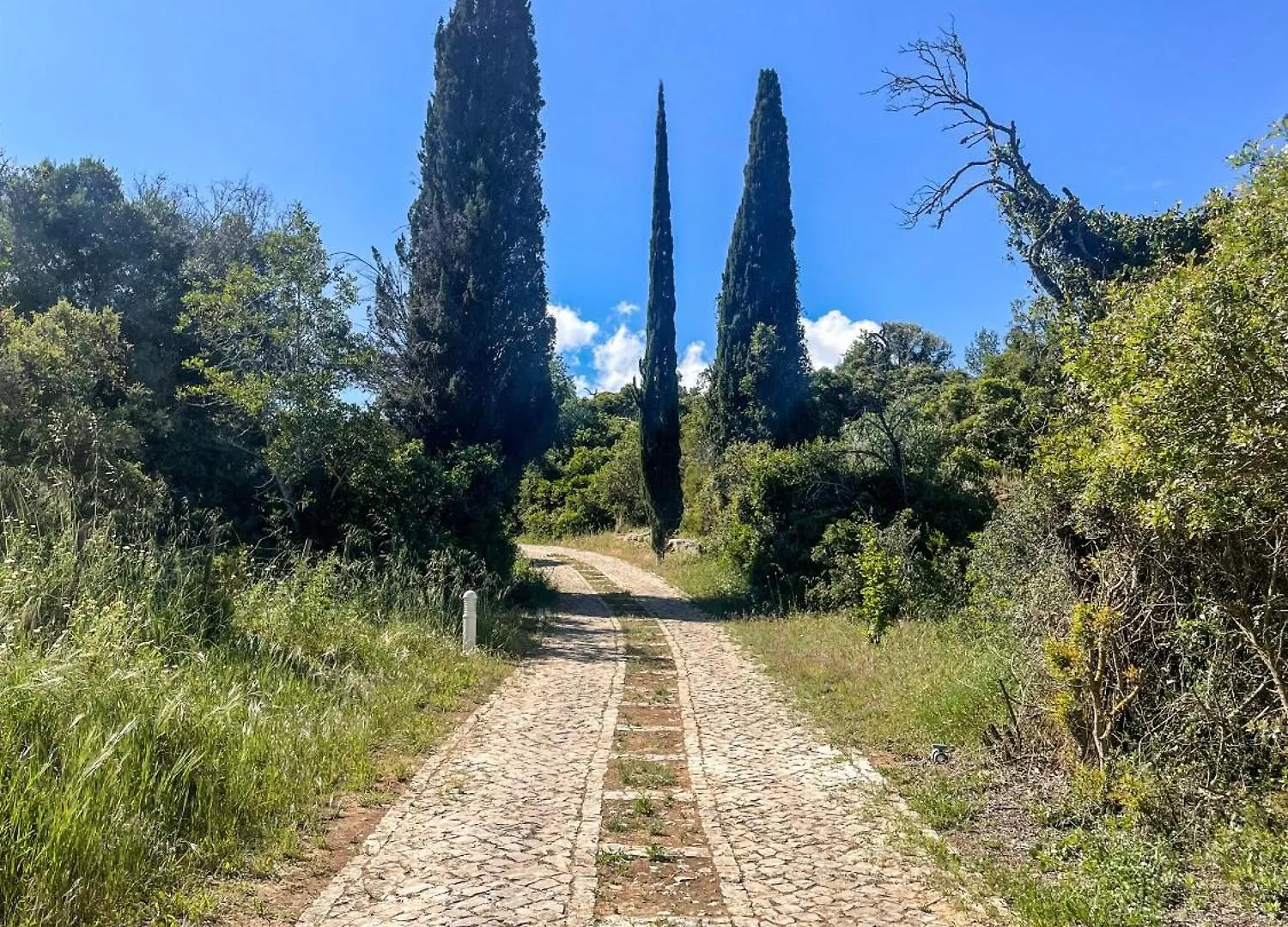 Quinta Dos Ciprestes Carvoeiro  0*, Carvoeiro (Lagoa)